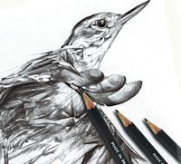 Derwent Sketch Graphite Pencils
