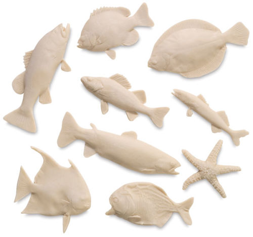 Freshwater Fish Printing Discovery Kit