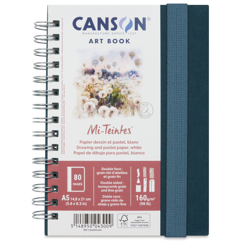 Canson Mi-Teintes Art Paper Sheets and Packs