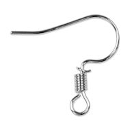Craft Medley Fish Hook Earring Wires