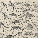 Elan Transfers Underglaze Transfer Sheet - Dinosaurs, Black
