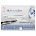 Hahnemühle Harmony Watercolor Block - 9" x 12", Rough, 12 Sheets, 140 lb