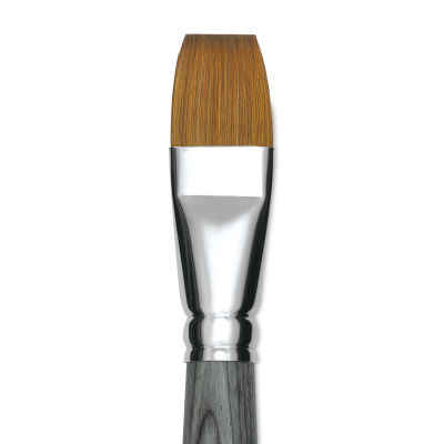 Da Vinci Colineo Synthetic Kolinsky Sable Brush - Flat, Size 24, Short Handle (close-up)