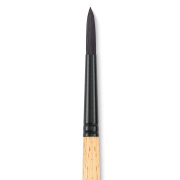 Princeton Catalyst Brush 6450 series Short Handle - High quality