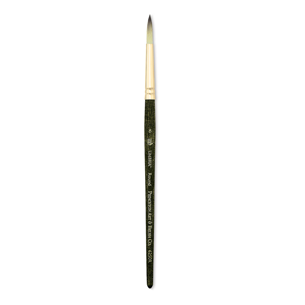 Princeton Umbria Short Handle Synthetic Paint Brush for Watercolor, Acrylic  and Oil, Series 6250, Filbert, 8