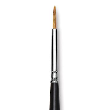 Open in modal - Blick Pointed Scholastic Brush - Round, Short Handle, Size 3 close-up