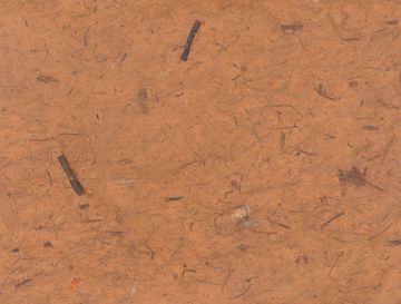Open in modal - Thai Banana Paper - Full sheet of Toast color paper 
