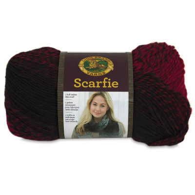 Lion Brand Scarfie Yarn - Side view of skein of Black/Cranberry yarn with label