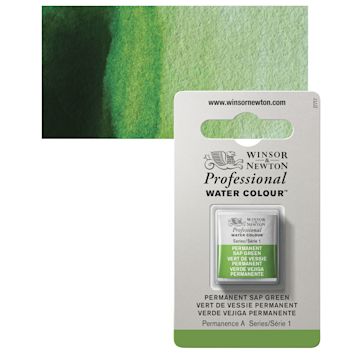 Open in modal - Winsor & Newton Professional Watercolor - Permanent Sap Green, Half Pan and swatch