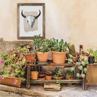 Coloready Paint by Number Kits