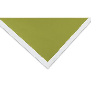 Open in modal - Art Spectrum Pastel Paper - 19-1/2" x 27-1/2", Olive Green