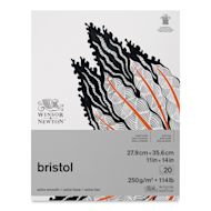 Winsor & Newton Bristol Paper Pads