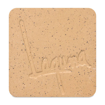 Laguna Speckled Buff Clay WC403 - 50 lb (fired to Cone 5 in an oxidation environment)