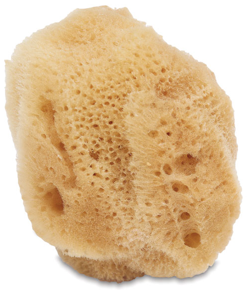 Oval Poly Sponges