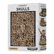 Citadel Skulls Set