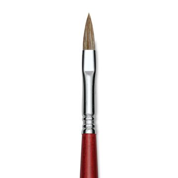Open in modal - Escoda Bravo Light Ox Hair Brush - Long Filbert, Long Handle, Size 8 close up