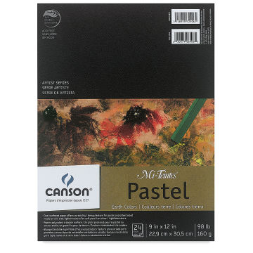 Canson Mi-Teintes Drawing Paper - 19 x 25, White, Single Sheet