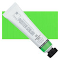 ShinHan Professional Poster Color Paint - Permanent Green, 40 ml