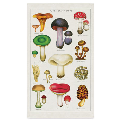 Cavallini Mushrooms Tea Towel