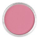 PanPastel Artist Painting Pastel - Permanent Red Light, 340.7