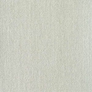 Oil-Primed Linen Canvas, Roll 