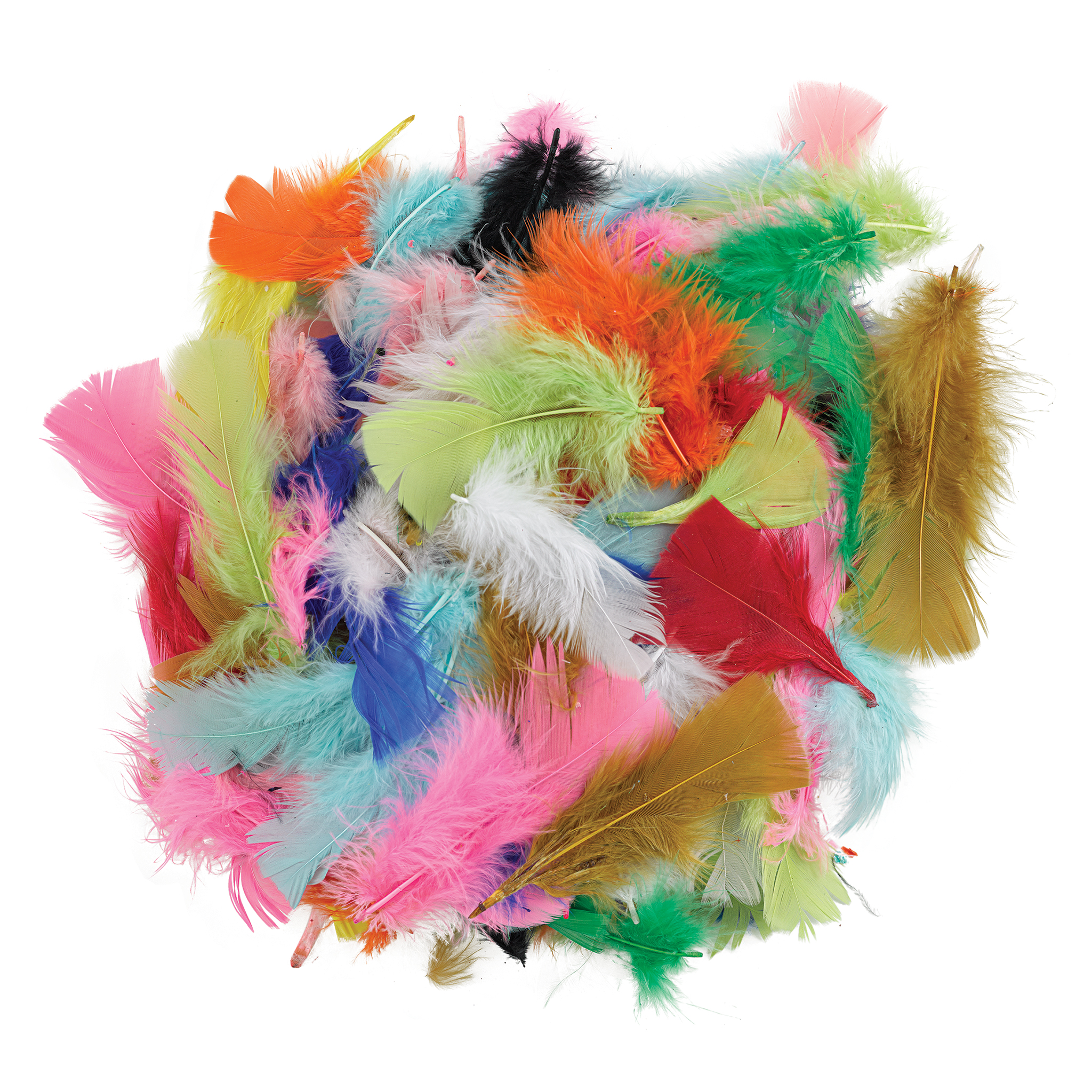 Bright Turkey Feather Assortment, Craft Supplies, Feathers And