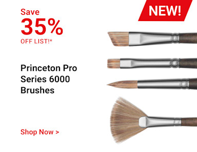 Save 35% off list. NEW! Princeton Pro Series 6000 Brushes. Shop Now.