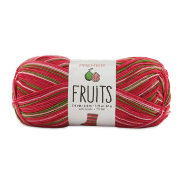 Premier Yarn Fruits Yarn - Guava (yarn skein with label)