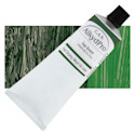 CAS AlkydPro Fast-Drying Alkyd Oil Color - Sap Green, 120 ml tube