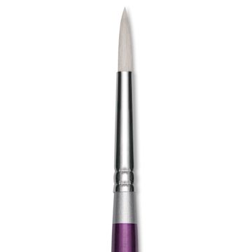Open in modal - Silver Brush Silver Silk 88 Synthetic Brush - Short Handle, Round, Size 8, close-up