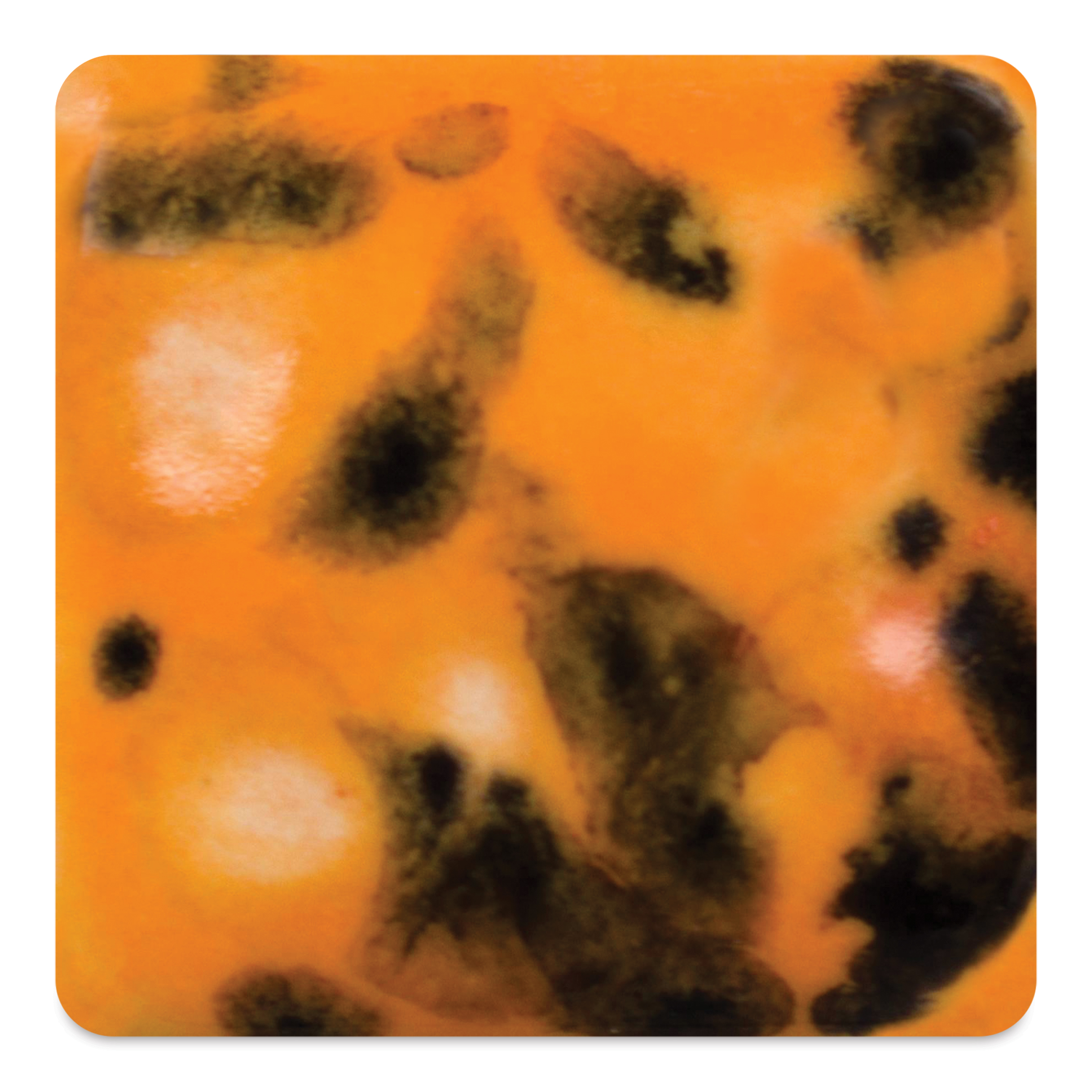 Mayco Jungle Gems Crystal Glaze - Papaya, Pint | BLICK Art Materials