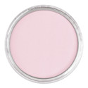 PanPastel Artists Painting Pastel - Permanent Red Tint, 340.8