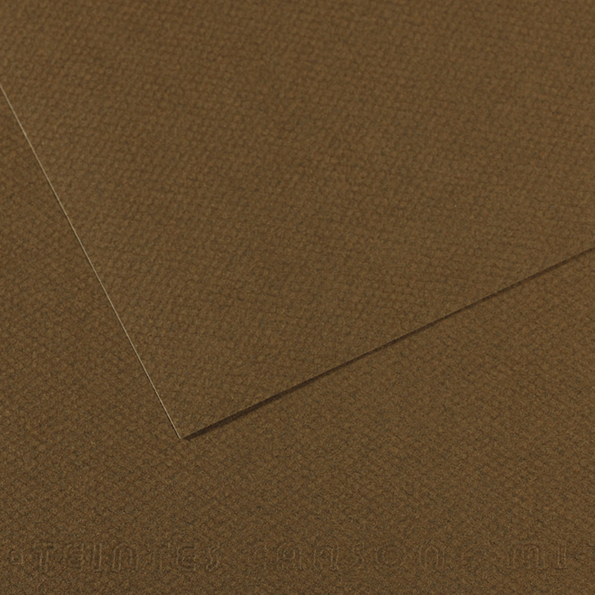 Canson Mi-Teintes Drawing Paper - 19 x 25, Sage Green, Single Sheet