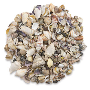 Seashells, Natural Mix