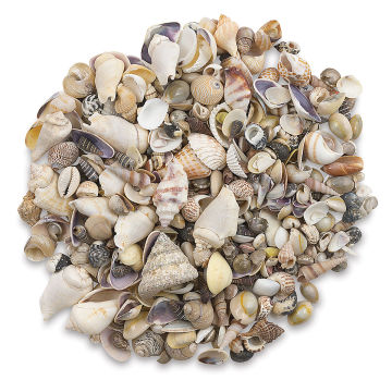 Hygloss Bucket O' Shells - Pile of Natural mix Seashells

