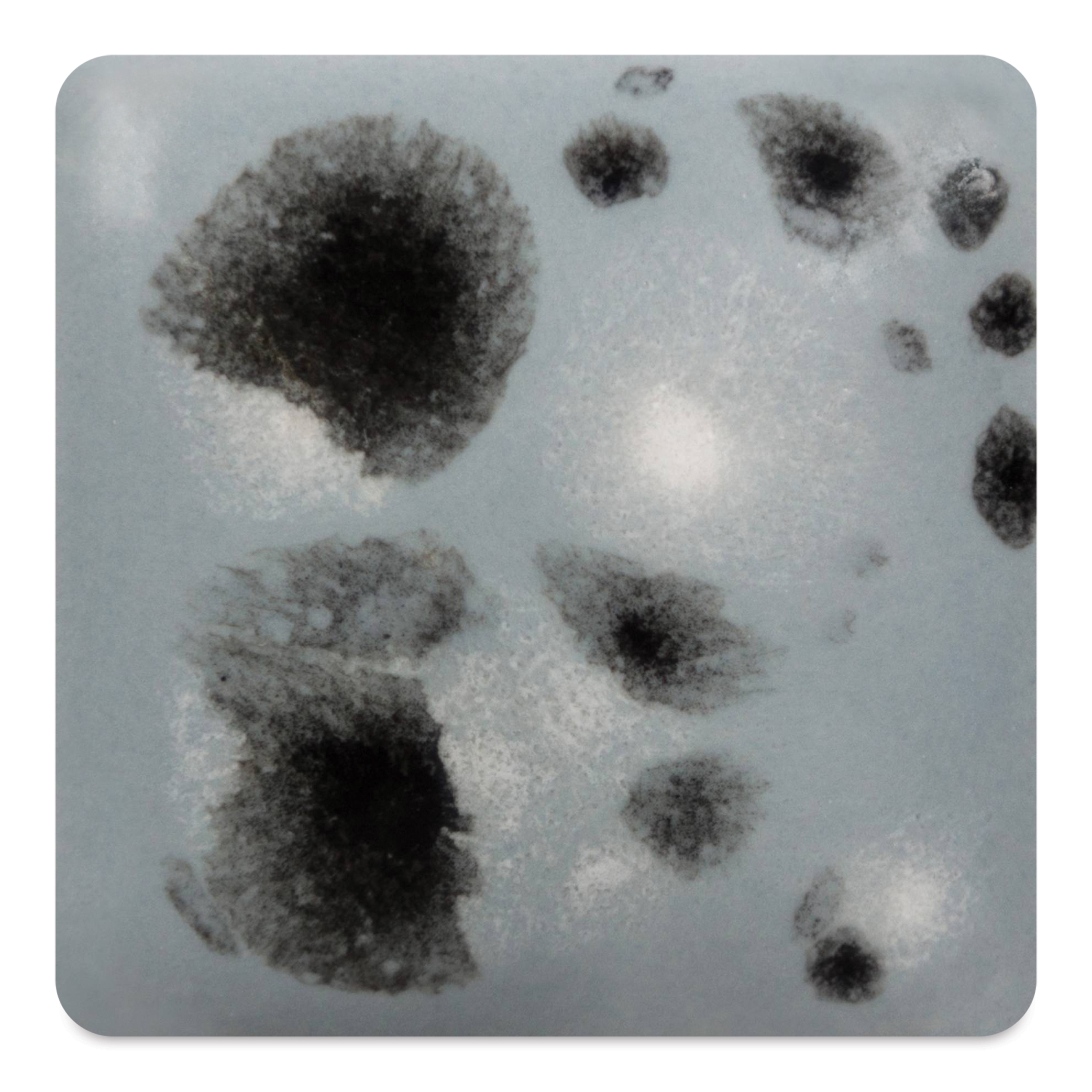 meico*.。♡　0916 Mayco Jungle Gems Crystal Glaze - Asteroid, Pint | BLICK Art Materials