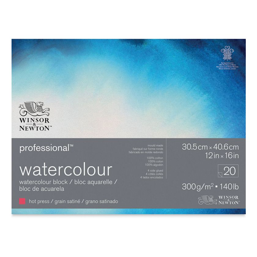 Winsor & Newton Professional Watercolor Blocks | BLICK Art Materials