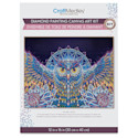 Craft Medley Diamond Painting Canvas Art Kit - Owl