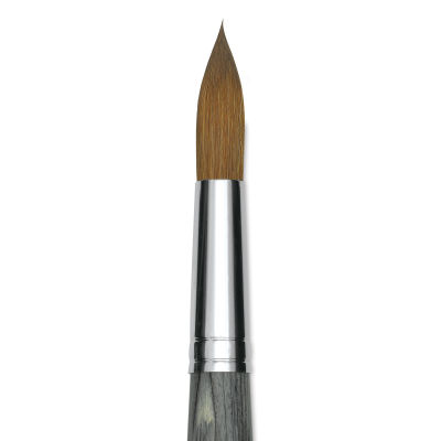 Da Vinci Colineo Synthetic Kolinsky Sable Brush - Round, Size 24, Short Handle (close-up)