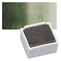Derwent Graphitint Paint Pan - Green Grey