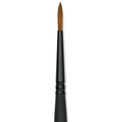 Raphaël Innovative Synthetic Kolinsky Brush - Round, Size 1, Short Handle (close-up)