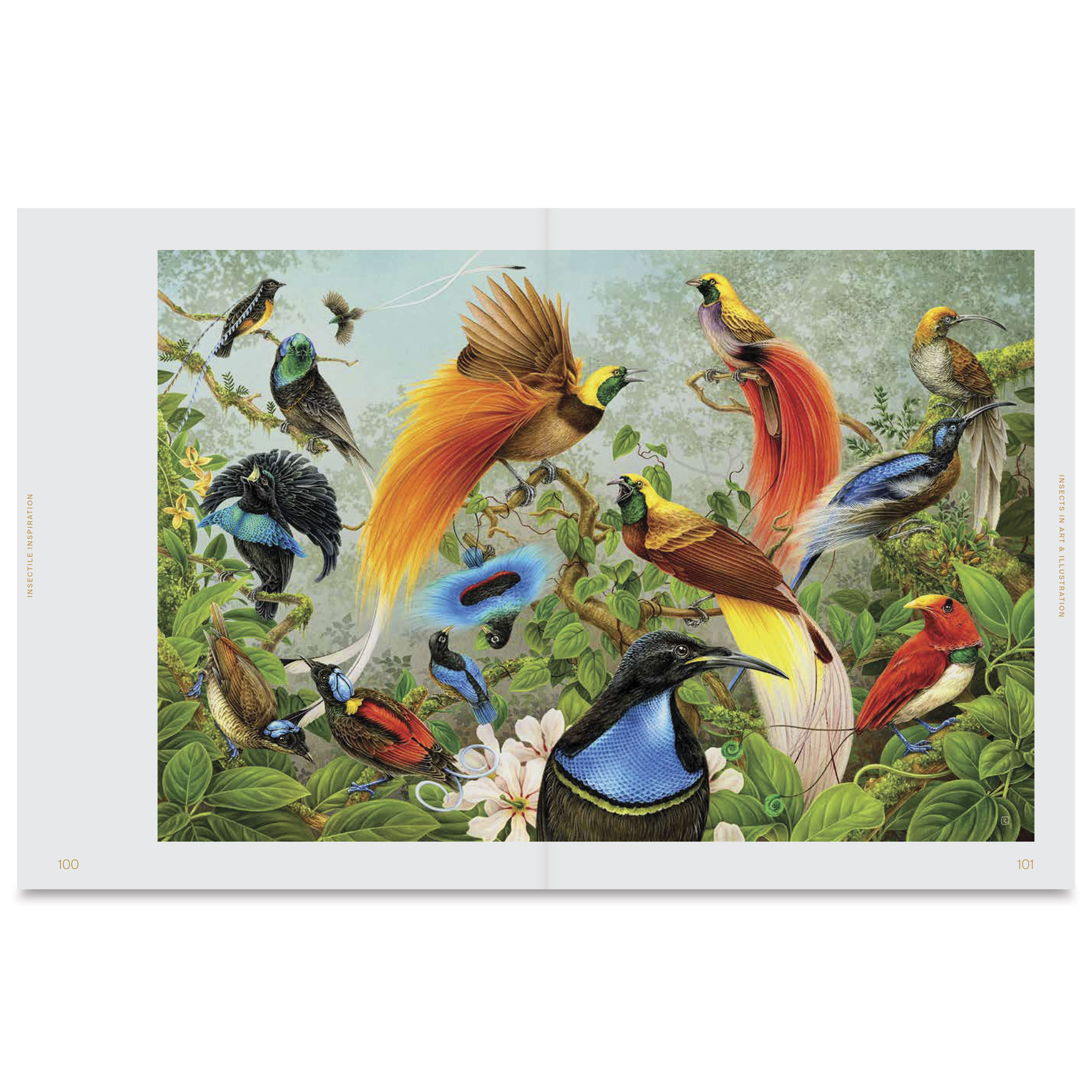 コレクション The Nature Of Inspiration (1962) Avian Inspiration: Art & Design Inspired by Wild Nature | BLICK