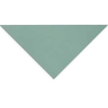 Clairefontaine Pastelmat Sheet - 27-1/2" x 39-1/2", Light Green, 1 Sheet