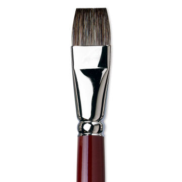 Da Vinci Black Sable Brush - Bright, Long Handle, Size 20