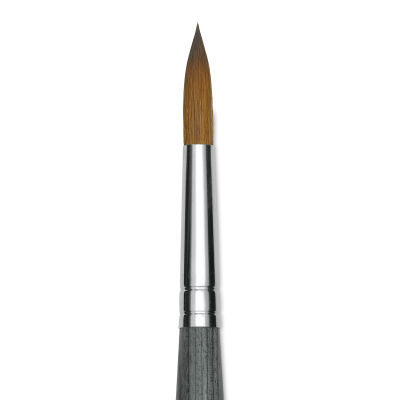Da Vinci Colineo Synthetic Kolinsky Sable Brush - Round, Size 12, Short Handle (close-up)