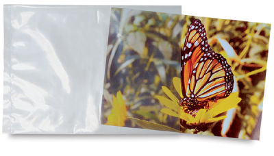 Acid-Free Poly-Bags - Photo of butterfly partially inserted in Bag
