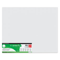 Daler-Rowney Simply Stretched Cotton Canvases - Pkg of 2, 20" x 24" (front)