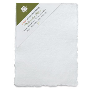 Shizen Professional Watercolor Paper - 9" x 12" Package of 5 Cold Press Sheets
