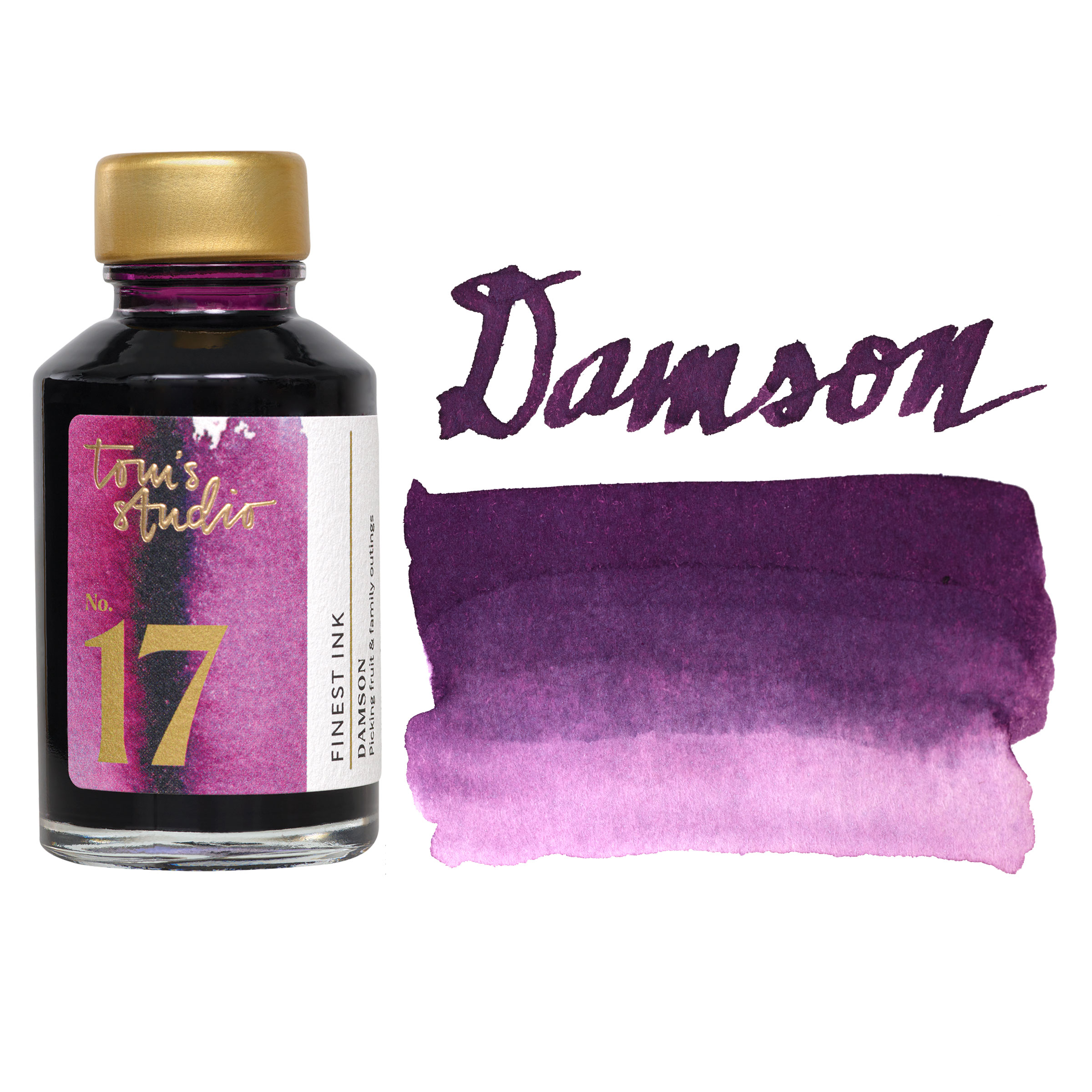 Tome Ink Tom's Studio Fountain Pen Ink - 50 ml, Damson | BLICK Art Materials