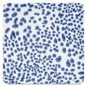 Amaco Crawls Glaze - CR-20 Dark Blue, Pint